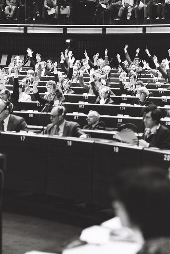 Plenary Session in Strasbourg.vote by show of hands