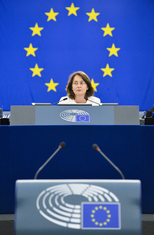 Plenary session- Presentation by the Council of its position on the draft general budget - 2020 financial year