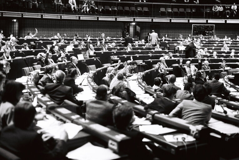 Plenary session in Strasbourg in April 1980. Vote by show of hands