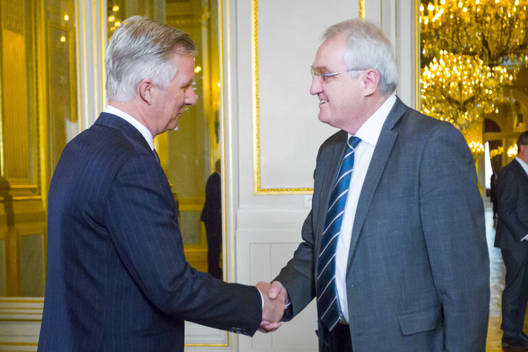 Photo 43 : New Year's Reception of the Belgian King