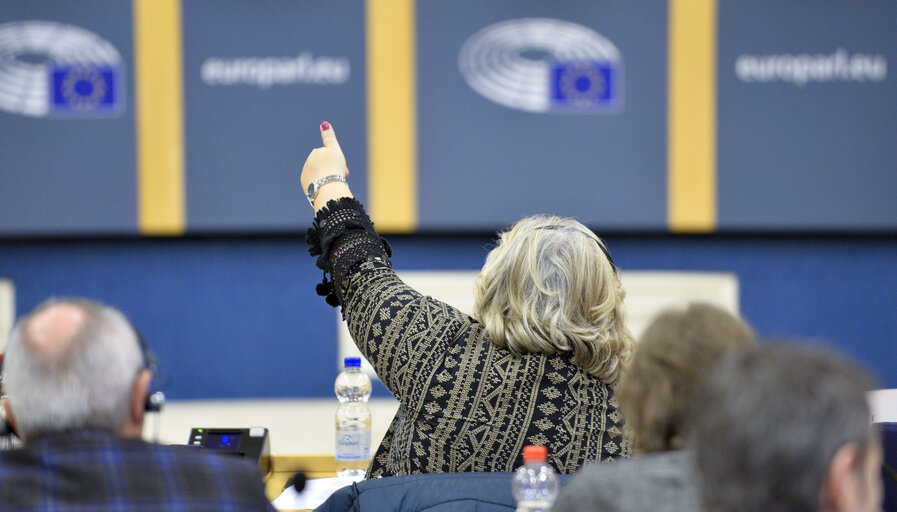 PECH Committee - Vote on the report on the Mediterranean Sea