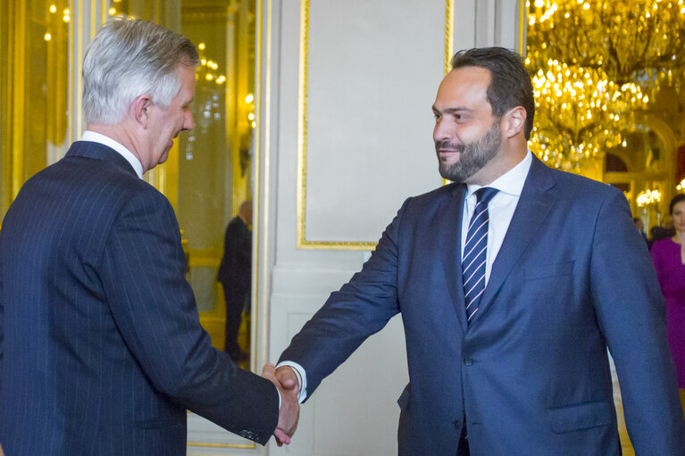 Photo 42 : New Year's Reception of the Belgian King