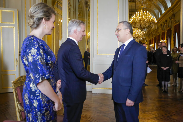 Suriet 29: New Year's Reception of the Belgian King