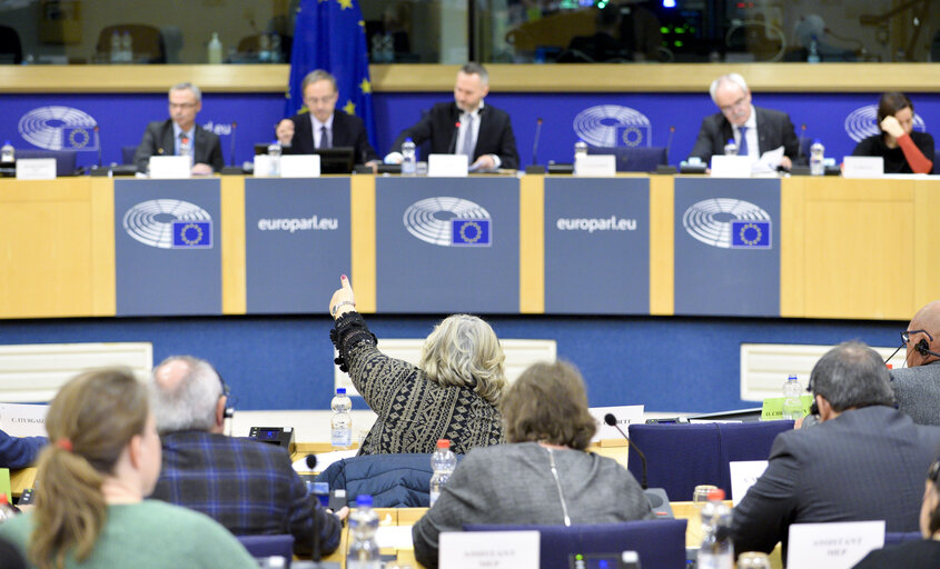 PECH Committee - Vote on the report on the Mediterranean Sea