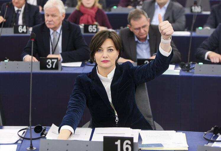 Valokuva 1: Lara COMI in the EP in Strasbourg