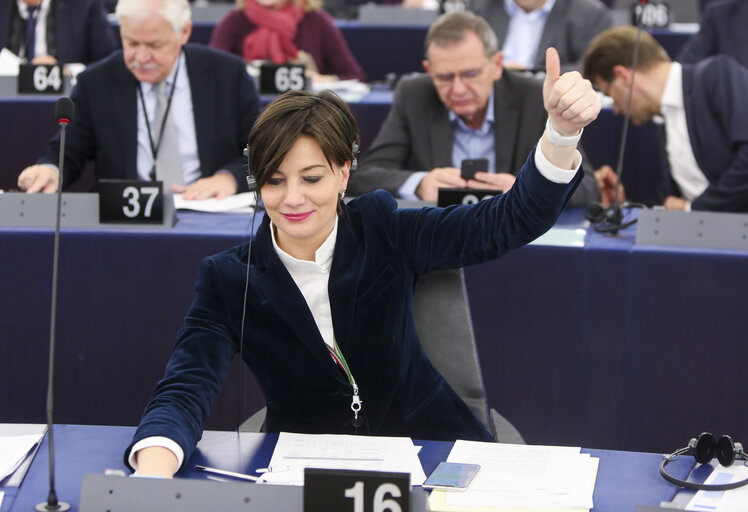 Lara COMI in the EP in Strasbourg