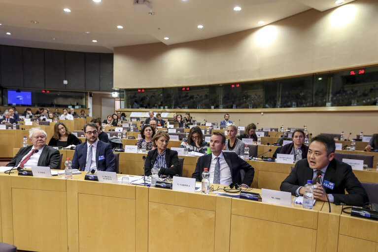 Photo 5: INTA Public Hearing - Europe-Asia Connectivity : what is the impact on trade?