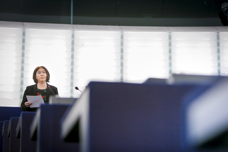 EP plenary session - Votes followed by explanations of votes