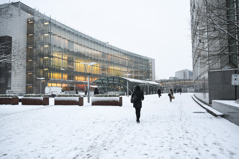 Brussels EP building under the snow