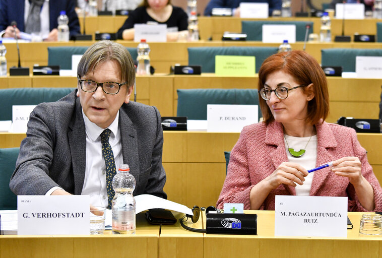 Photo 18: AFCO committee meeting - BREXIT : exchange of views on the state of play of the negotiations with Guy Verhofstadt, Parliament's coordinator for the negotiations on the UK withdrawal from the EU, and with Danuta Huebner, member of the Parliament's Brexit Steering Group