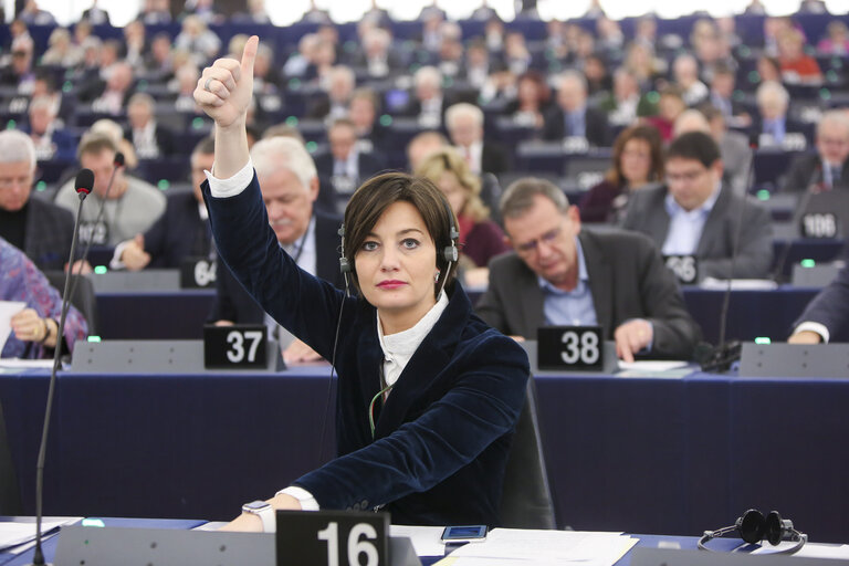 Zdjęcie 3: Lara COMI in the EP in Strasbourg