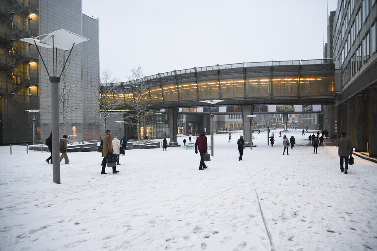 Brussels EP building under the snow