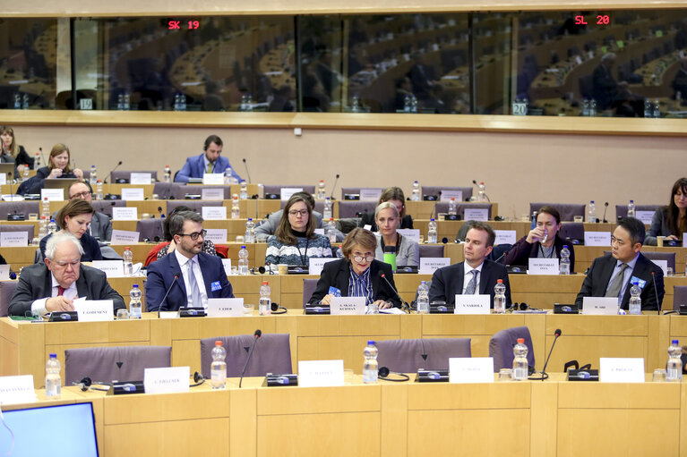 Photo 14: INTA Public Hearing - Europe-Asia Connectivity : what is the impact on trade?