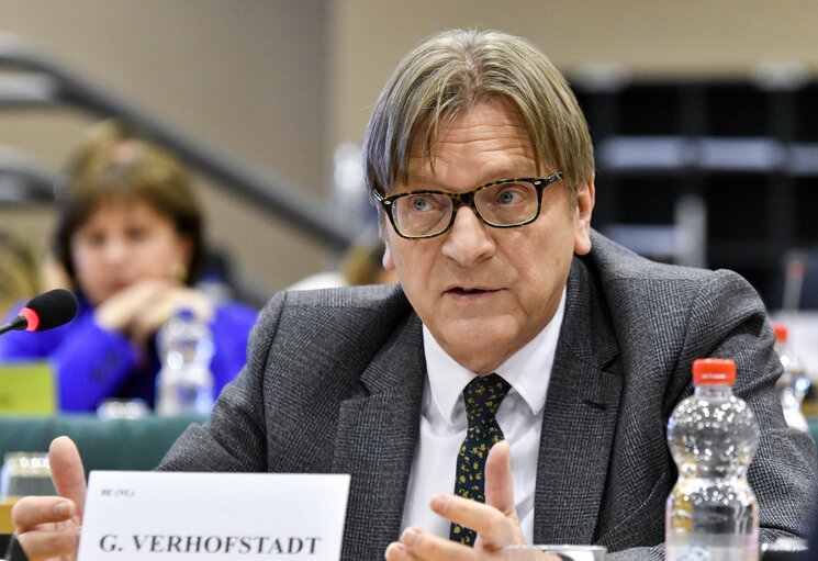 Zdjęcie 7: AFCO committee meeting - BREXIT : exchange of views on the state of play of the negotiations with Guy Verhofstadt, Parliament's coordinator for the negotiations on the UK withdrawal from the EU, and with Danuta Huebner, member of the Parliament's Brexit Steering Group