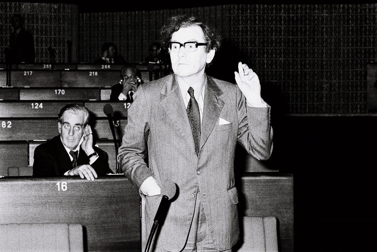 Plenary session in Strasbourg on March 1977