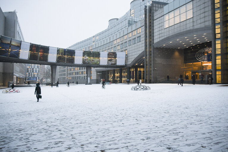 Brussels EP building under the snow