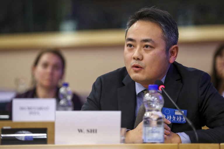 Foto 9: INTA Public Hearing - Europe-Asia Connectivity : what is the impact on trade?