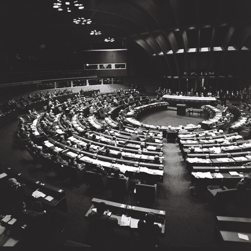 Plenary session in Strasbourg on March 1977