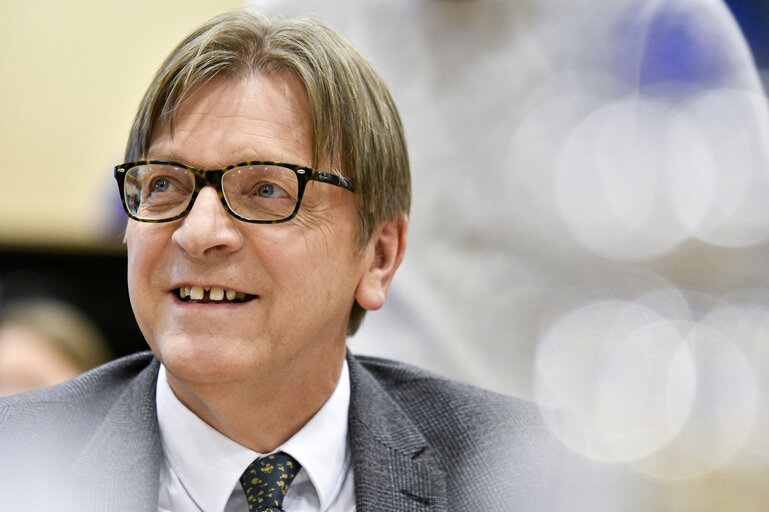 Fotografija 16: AFCO committee meeting - BREXIT : exchange of views on the state of play of the negotiations with Guy Verhofstadt, Parliament's coordinator for the negotiations on the UK withdrawal from the EU, and with Danuta Huebner, member of the Parliament's Brexit Steering Group