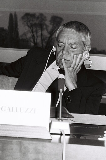 Fotografia 20: Meeting at the European Parliament in Strasbourg