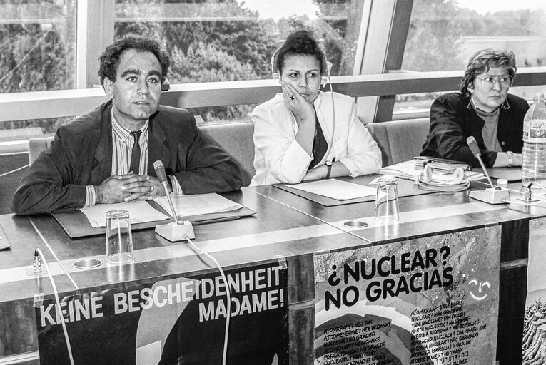 Meeting against the nuclear energy hosted by The Green Group in the European Parliament at the EP in Strasbourg