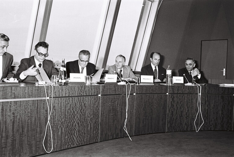 Meeting at the European Parliament in Strasbourg