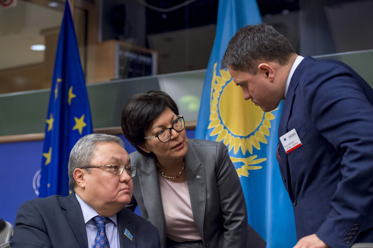 Foto 12: 16th EU-Kazakhstan Parliamentary Cooperation Committee - Opening