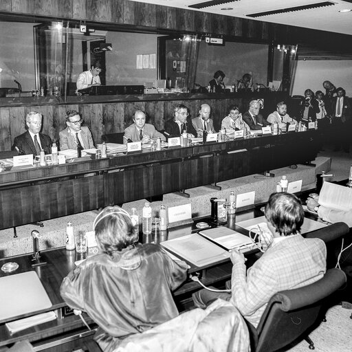 Meeting at the European Parliament in Brussels