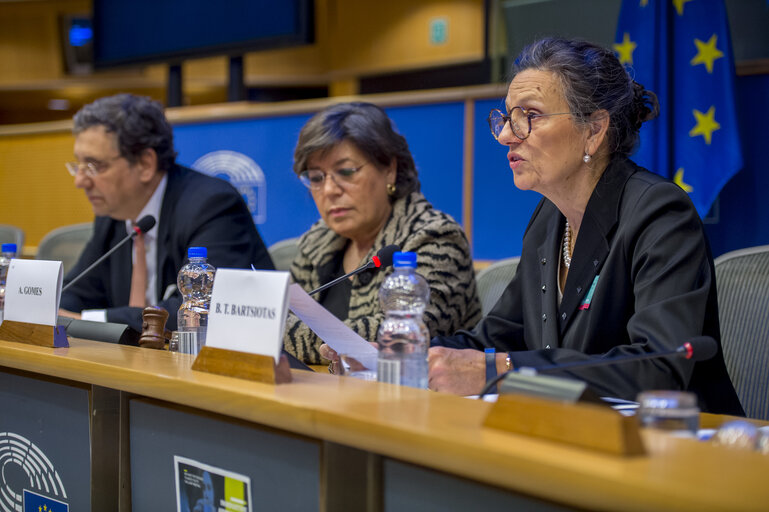 Fotografie 5: EP-UNICRI joint meeting - Innovative Approaches to Preventing and Countering Violent Extremism