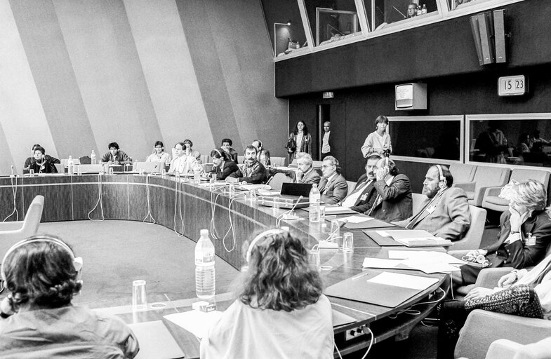 Meeting against the nuclear energy hosted by The Green Group in the European Parliament at the EP in Strasbourg