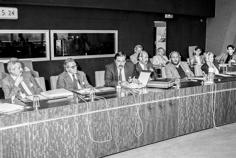 Meeting against the nuclear energy hosted by The Green Group in the European Parliament at the EP in Strasbourg