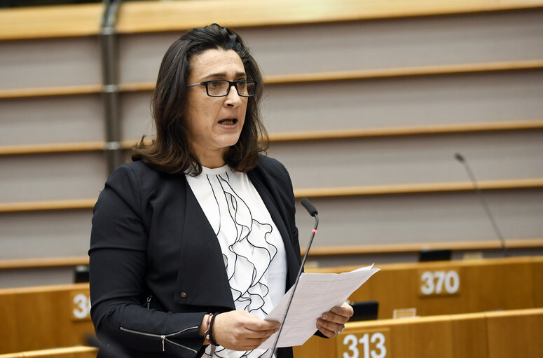 Fotografija 5: Rosa D'AMATO in the EP in Brussels