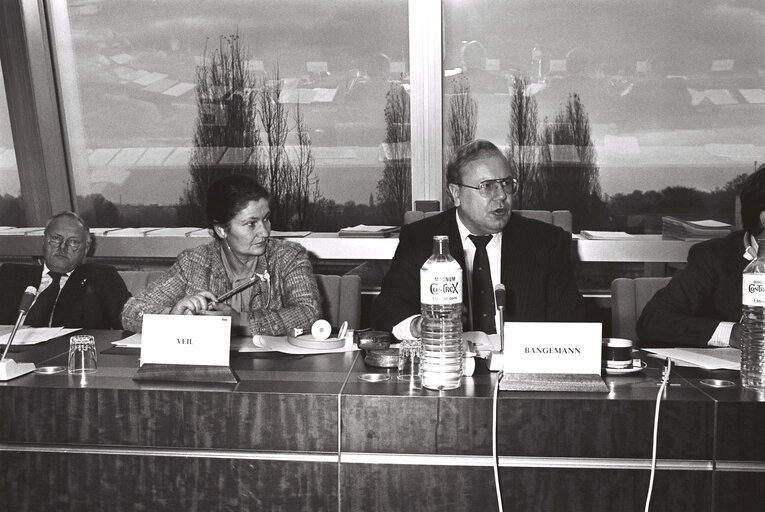 Foto 2: Plenary session in the hemicycle of Strasbourg in November 1979.Meeting