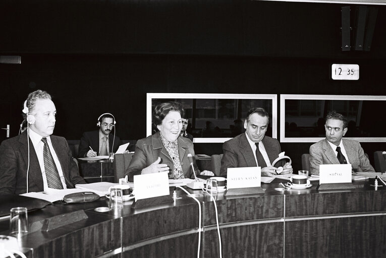 Foto 1: Plenary session in Strasbourg in December 1979.Meeting