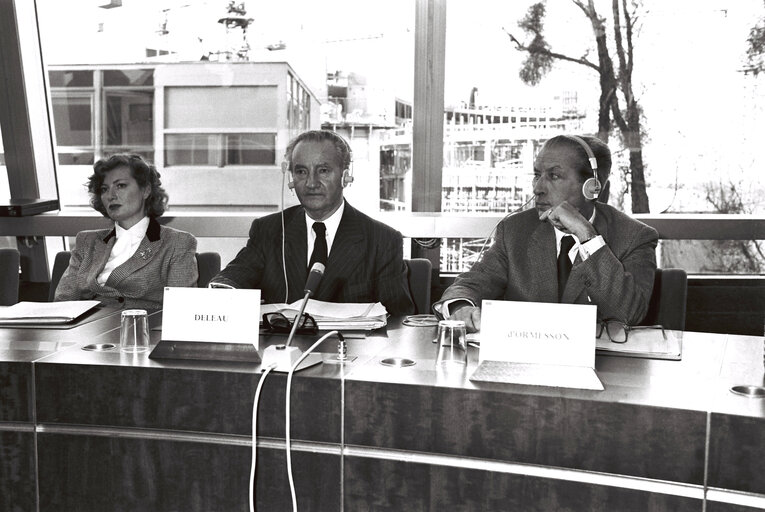 Fotografie 4: Plenary session in Strasbourg in December 1979.Meeting