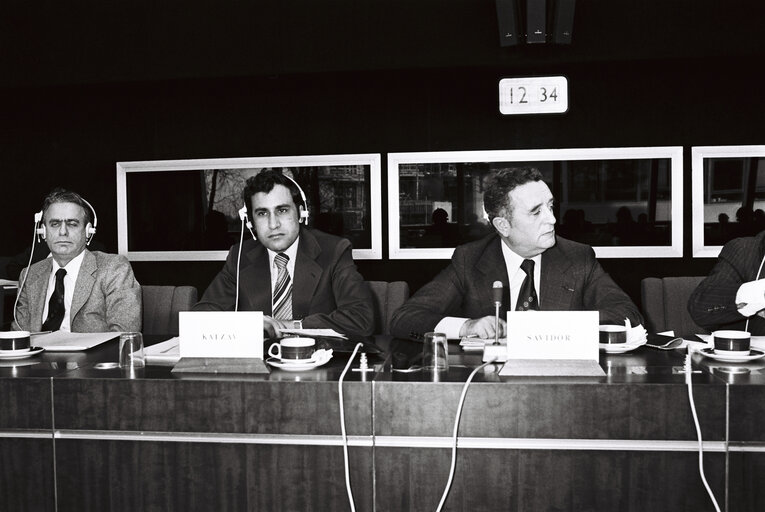 Valokuva 6: Plenary session in Strasbourg in December 1979.Meeting