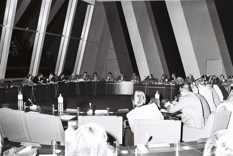 Plenary session in the hemicycle of Strasbourg in November 1979.Meeting