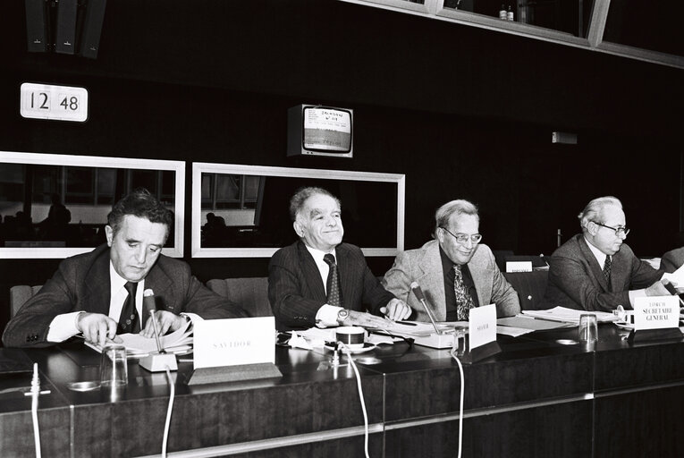 Plenary session in Strasbourg in December 1979.Meeting