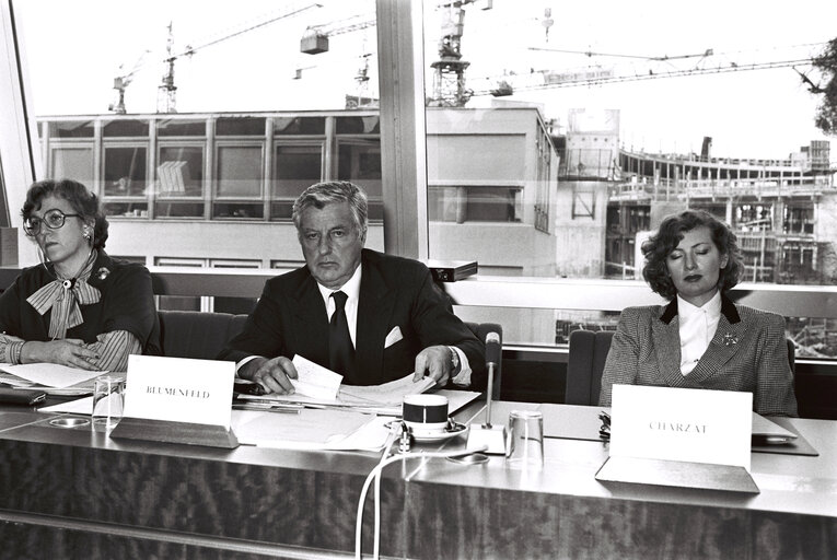 Fotografie 10: Plenary session in Strasbourg in December 1979.Meeting