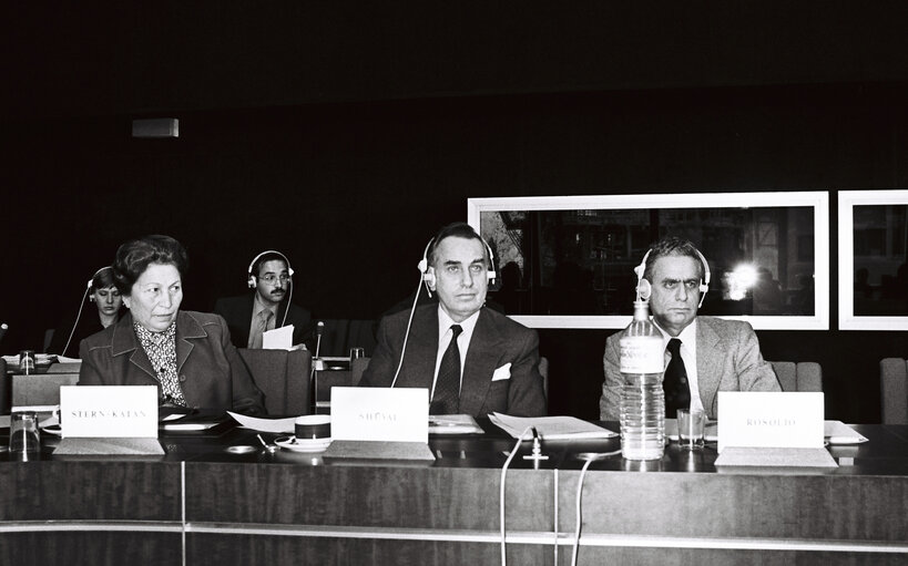 Valokuva 11: Plenary session in Strasbourg in December 1979.Meeting