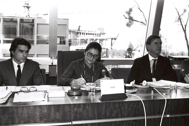 Plenary session in Strasbourg in December 1979.Meeting