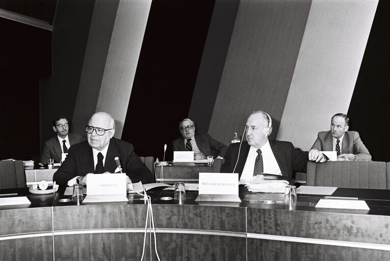 Foto 14: Plenary session in Strasbourg in December 1979.Meeting