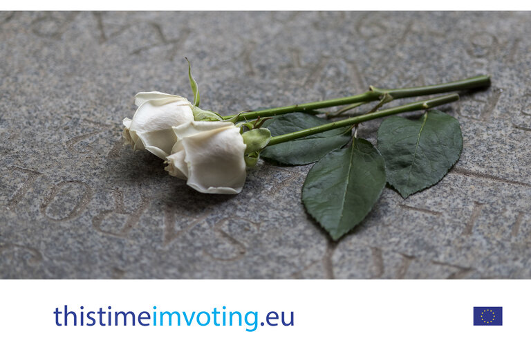 Fotografija 22: EE 2019 - 2019 European Elections campaign photo toolkit