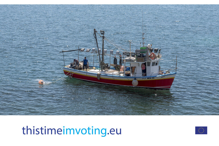 Fotografija 33: EE 2019 - 2019 European Elections campaign photo toolkit