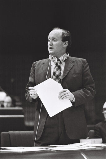 Plenary Session in Strasbourg in May 1977