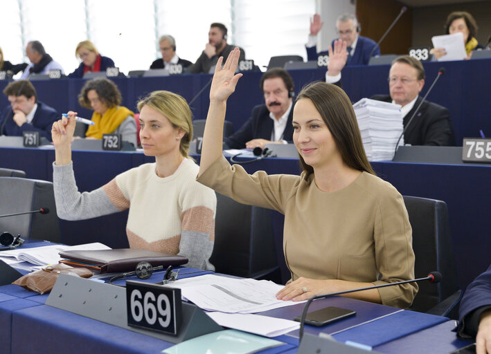 Foto 3: Eva MAYDELL in the EP in Strasbourg