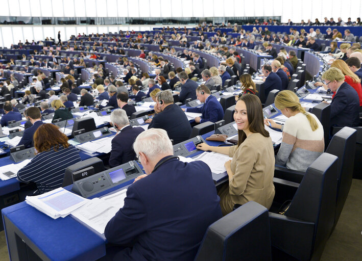 Eva MAYDELL in the EP in Strasbourg