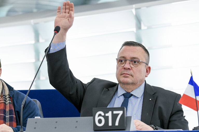 Dominique MARTIN in the EP in Strasbourg