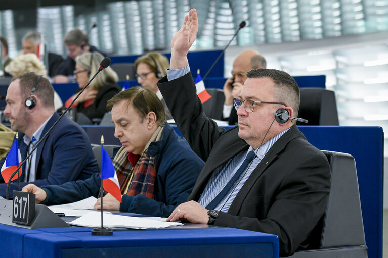 Dominique MARTIN in the EP in Strasbourg