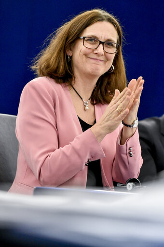 Fotografi 1: Plenary session - Framework for screening of foreign direct investments into the European Union